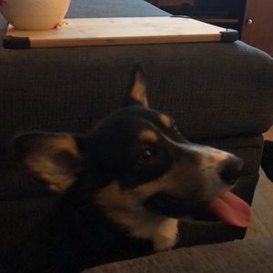 Meet your Posher, Olivia